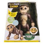 ggttalk-2016-11-17zoomer_chimp